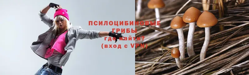 продажа наркотиков  Краснослободск  Псилоцибиновые грибы Psilocybe 